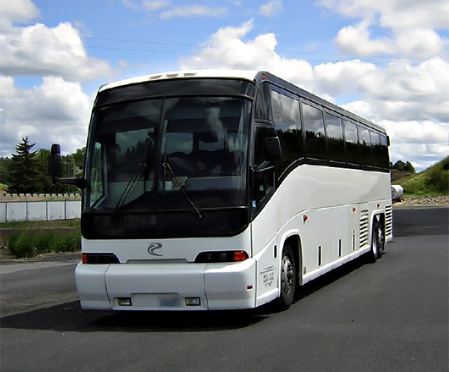 Coconut Grove 45 Passenger Party Bus 